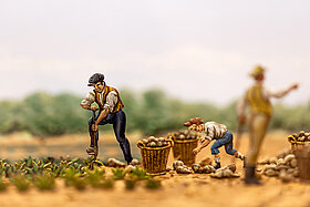 Ausschnitt aus dem Diorama "Zuckerrübenernte um 1869"