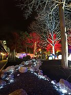 Klosterlichter im Klostergarten 2018