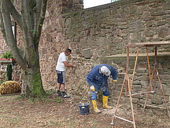 Sanierung der Euskirchener Stadtmauer
